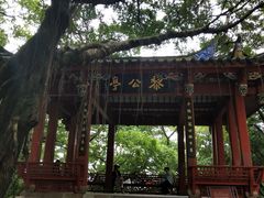 -乌山风景区
