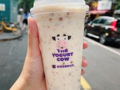 -一只酸奶牛(奎星楼店)