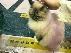 -剧狐剧本杀·月球探案馆(人民广场1号店)