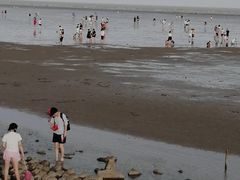 -碧海金沙