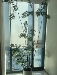 -HYOUNG 禾漾·BTL官方美学中心