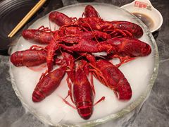 -红盔甲·小龙虾(崂山路店)