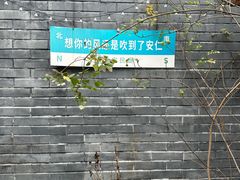 -安仁古镇