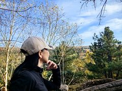 -汤旺河林海奇石景区