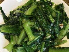 -广信传说
