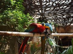 -杭州开元森泊度假乐园