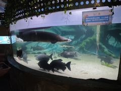 -洛阳龙门海洋馆