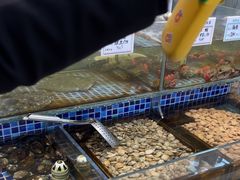 -天盛海鲜烧烤大排档·本地小海鲜·牟平腿穗子(幸福店)