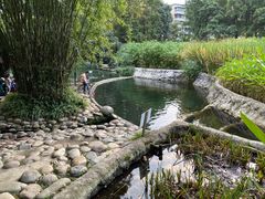 -成都市活水公园