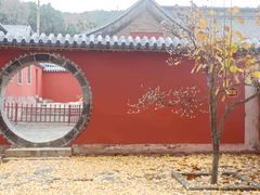 -泰山风景名胜区-普照寺