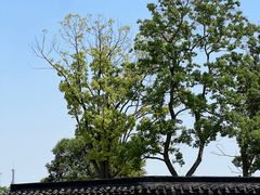 -澹台湖公园