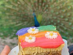 -J Create城市露营咖啡·简餐·宠物(上海动物园店)