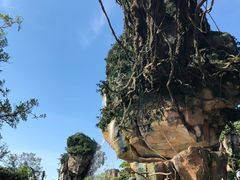 -奥兰多迪士尼动物王国乐园