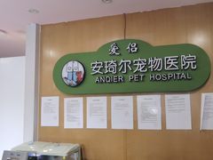 -爱侣·安琦尔宠物医院·中兽医针灸·心内科·狂犬免疫点(宝山区院)