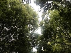 -荆川公园