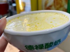 -德禄酸奶(莫家街店)