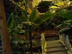 -陆地游轮吉林神农温泉