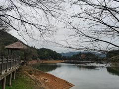 -千岛湖龙川湾