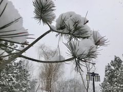 -西海子公园