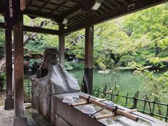 -井之头恩赐公园
