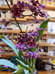 -今日陶艺(富力广场店)