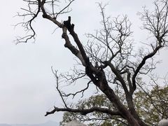 -昭山风景名胜区