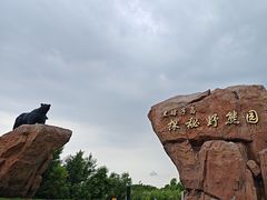 -黑瞎子岛探秘野熊园