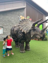 -恐龙探索乐园(磁器口店)