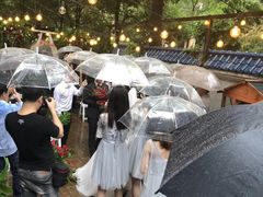 -宝翠花园餐厅(沙湖店)