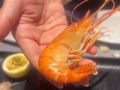 -奔海甄选·活鲜刺身铁板烧自助(太原里店)