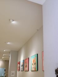 -洗脸猫·洗脸吧