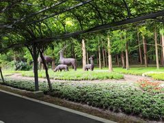 -东平国家森林公园