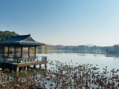 -上海市保健医疗中心