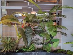 -湊湊火锅·茶憩(皇姑万象汇店)