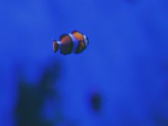 -秦皇岛新澳海底世界