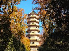 -灵谷景区
