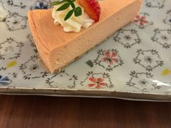 -THE PRESS(申报馆店)