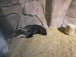 -酷嗒动物文化乐园(cutezoo西溪乐天城店)