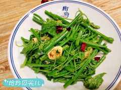 -树厨贵州菜(大十字店)