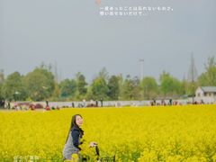 -蜀绣公园