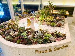 -春树下·树屋花房西餐厅(罍街AS1980店)