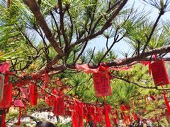 -罗田天堂寨风景区
