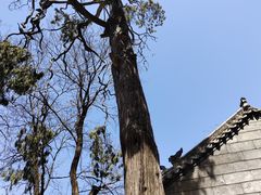 -终南山南五台景区