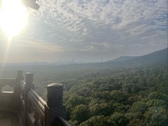 -灵谷景区