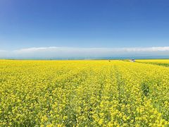 -青海湖国家重点风景名胜区