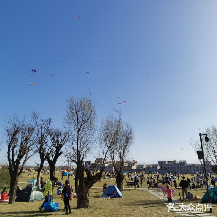 曲江休闲攻略！遛狗溜娃这里很行！不要钱