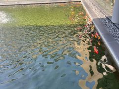 -太子园林酒家