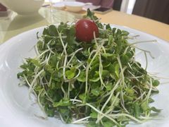 -海鲜城大家餐厅