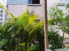景观位-面上有光