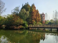 -溱湖国家湿地公园